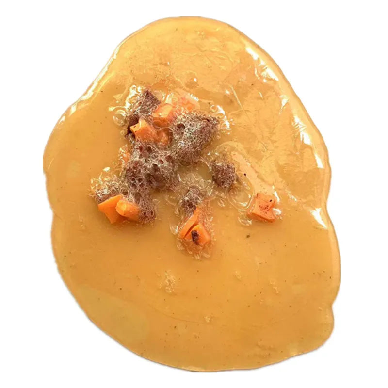 Fake Vomit Prank Toy