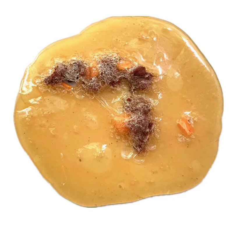 Fake Vomit Prank Toy